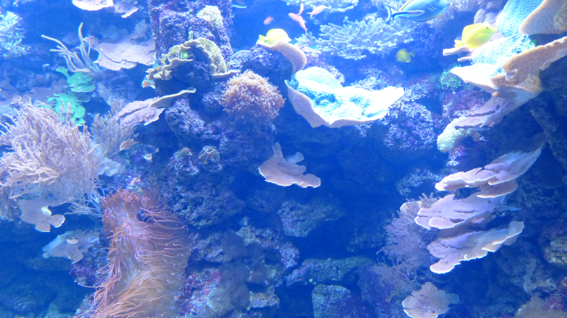 Der Rostocker Zoo