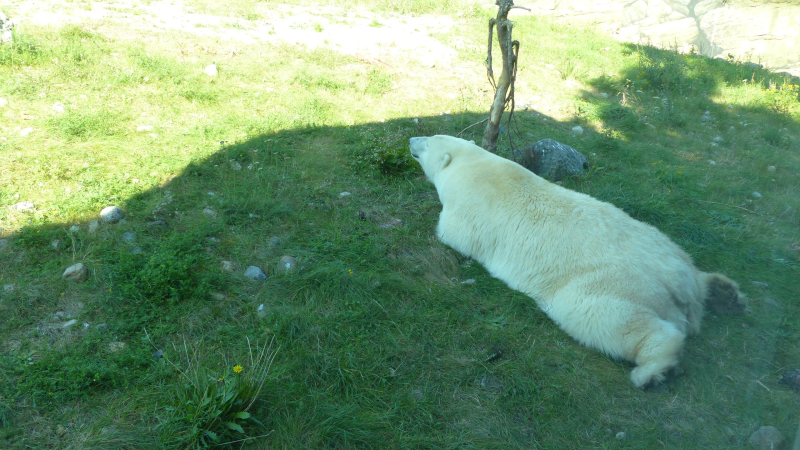 Der Rostocker Zoo (2)