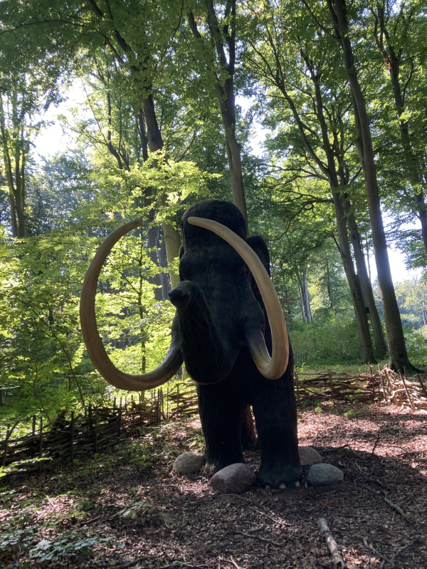 Der Rostocker Zoo (6)